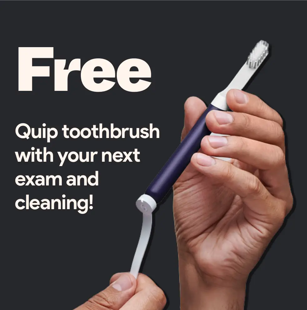 Quip Toothbrush Quip Toothbrush